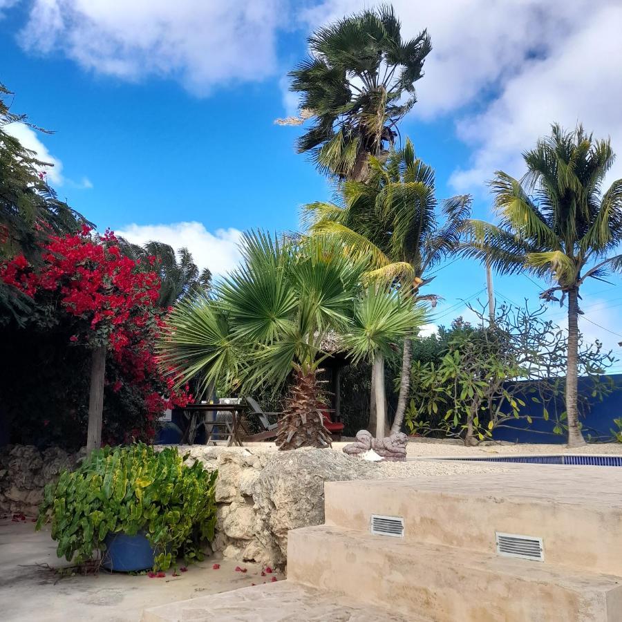 Caribbean Chillout Apartments Kralendijk na wyspie Bonaire Zewnętrze zdjęcie