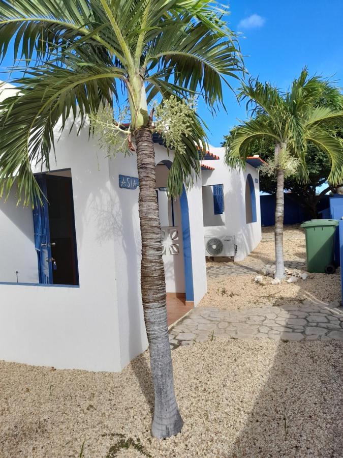 Caribbean Chillout Apartments Kralendijk na wyspie Bonaire Zewnętrze zdjęcie