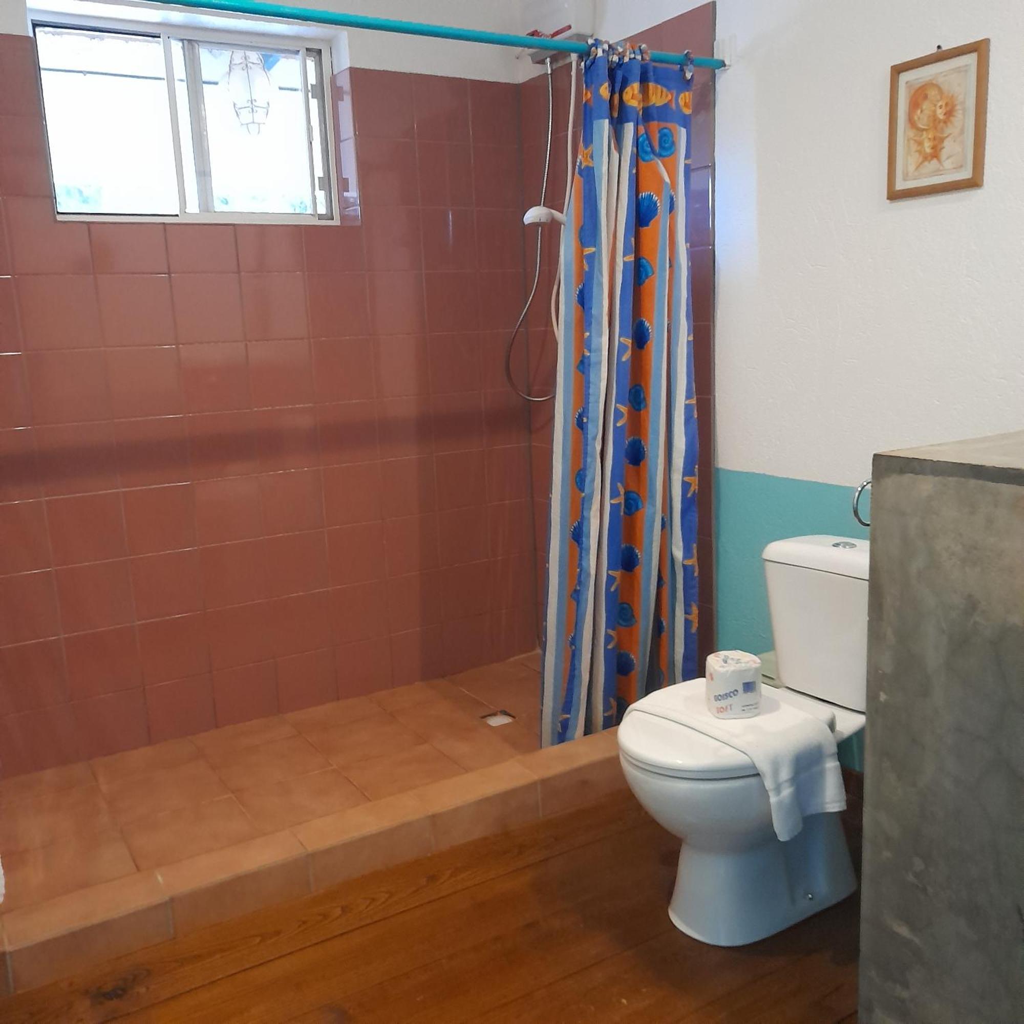 Caribbean Chillout Apartments Kralendijk na wyspie Bonaire Zewnętrze zdjęcie