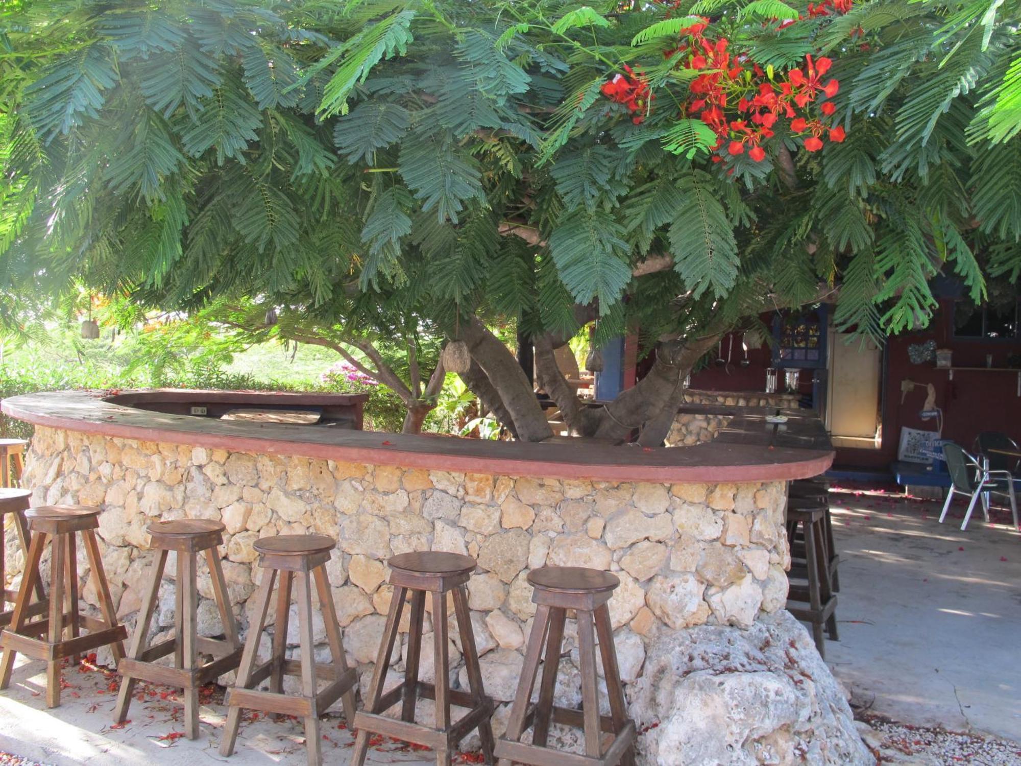 Caribbean Chillout Apartments Kralendijk na wyspie Bonaire Zewnętrze zdjęcie