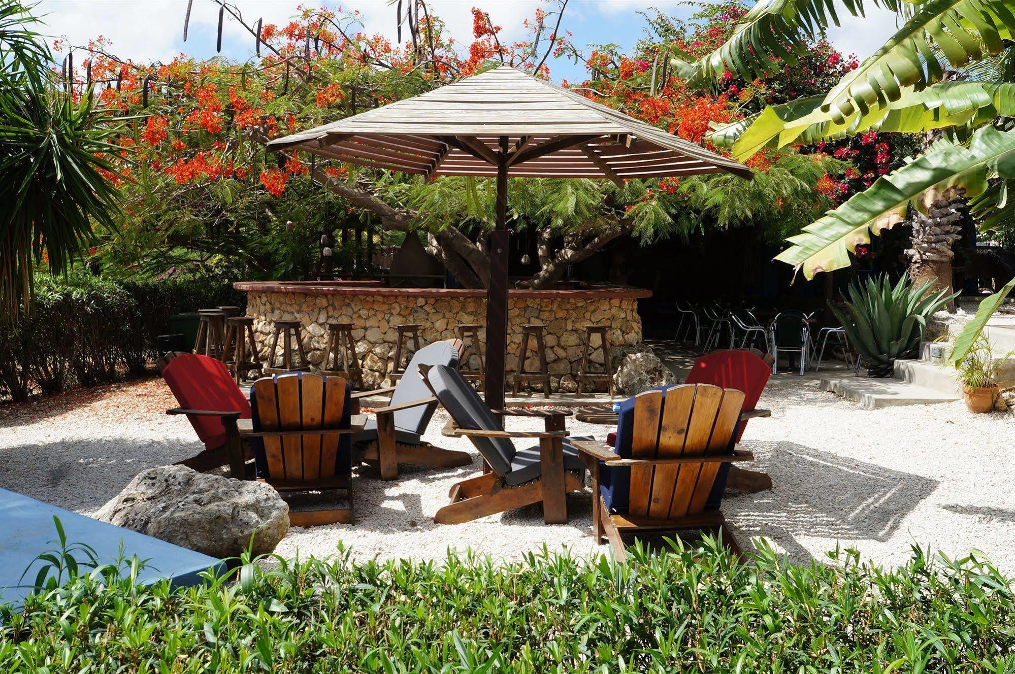 Caribbean Chillout Apartments Kralendijk na wyspie Bonaire Zewnętrze zdjęcie