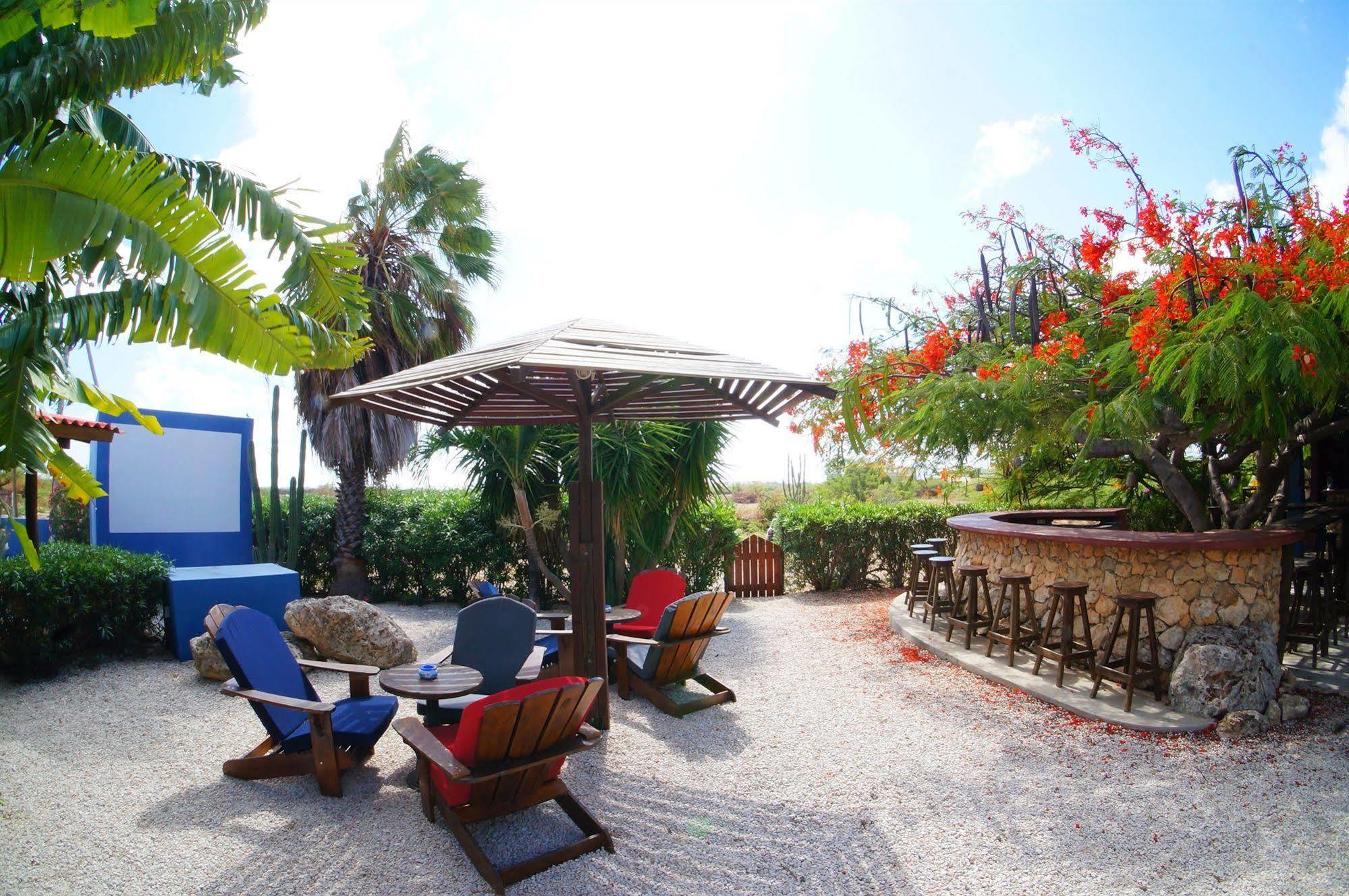 Caribbean Chillout Apartments Kralendijk na wyspie Bonaire Zewnętrze zdjęcie