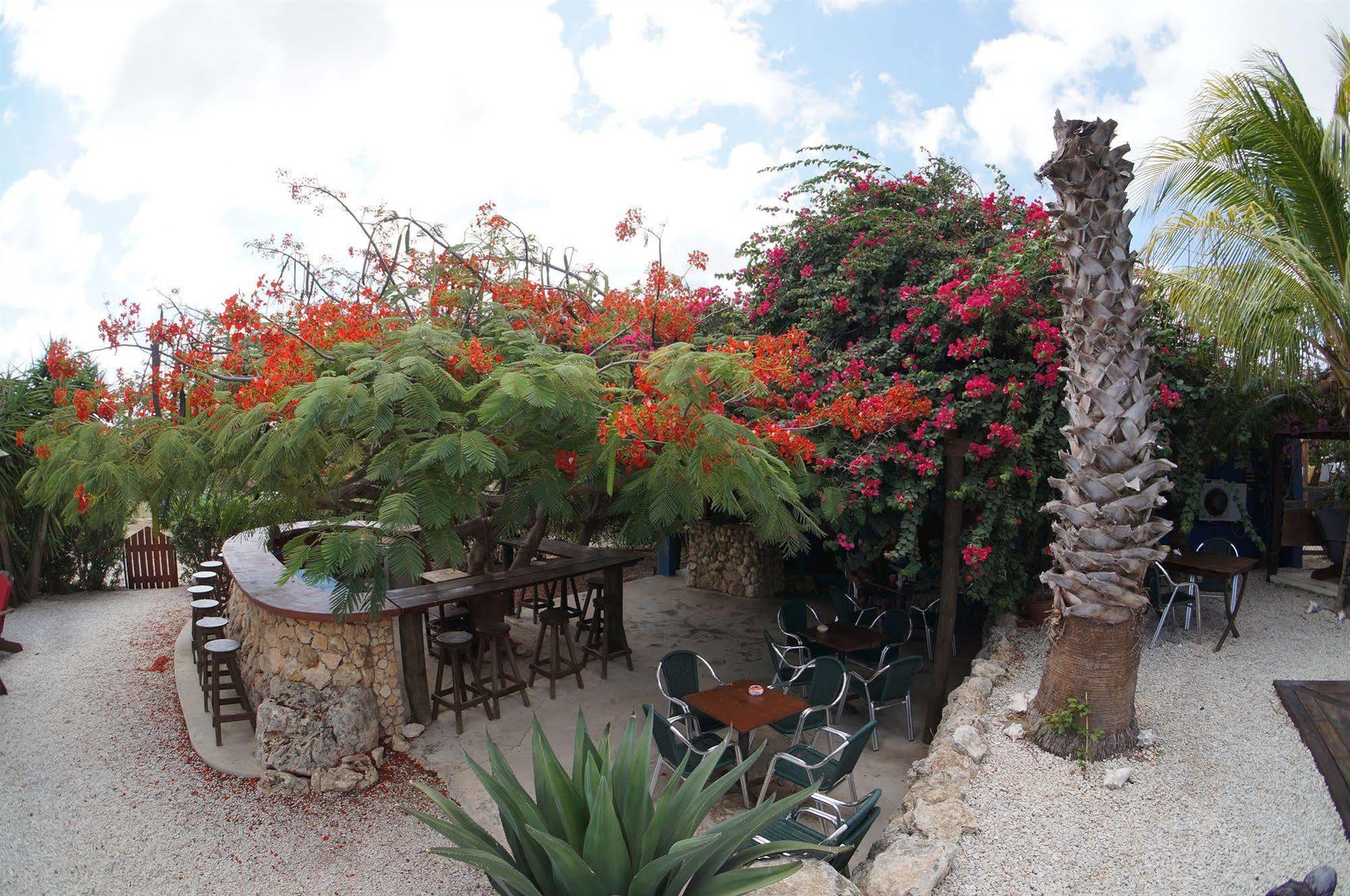 Caribbean Chillout Apartments Kralendijk na wyspie Bonaire Zewnętrze zdjęcie