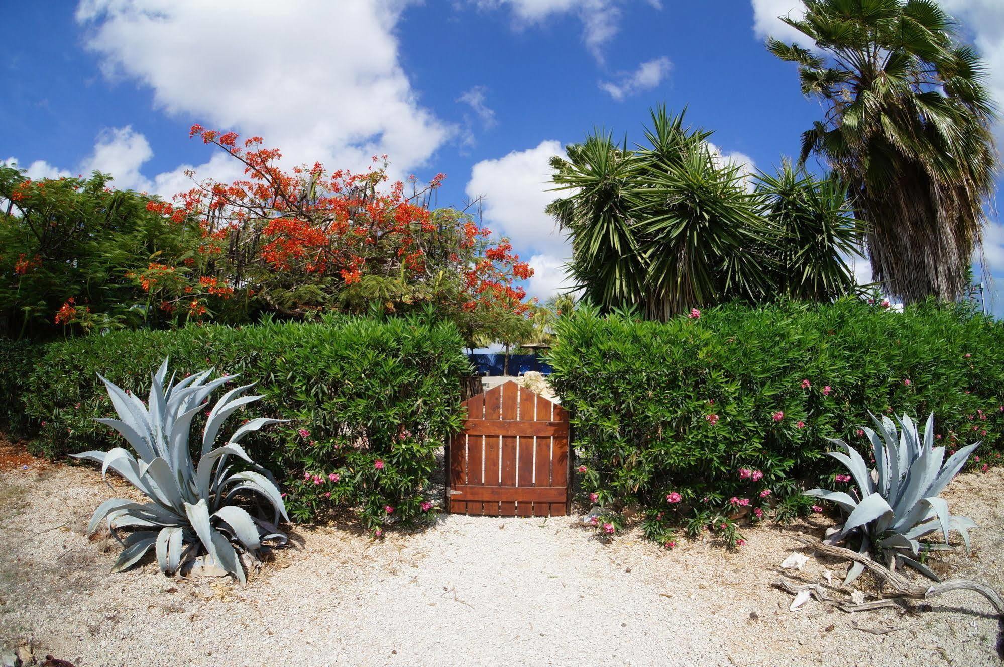 Caribbean Chillout Apartments Kralendijk na wyspie Bonaire Zewnętrze zdjęcie