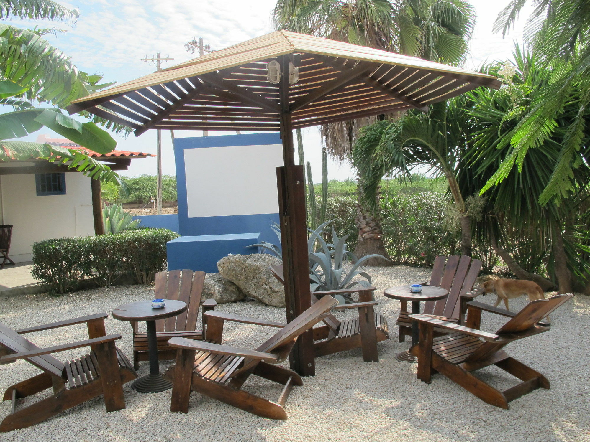 Caribbean Chillout Apartments Kralendijk na wyspie Bonaire Zewnętrze zdjęcie