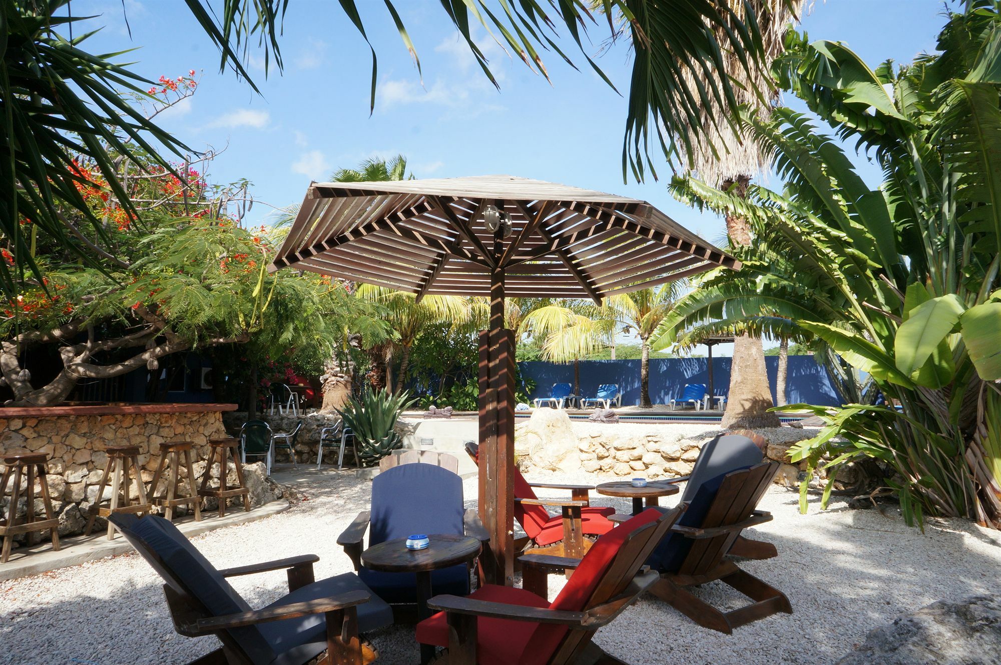 Caribbean Chillout Apartments Kralendijk na wyspie Bonaire Zewnętrze zdjęcie