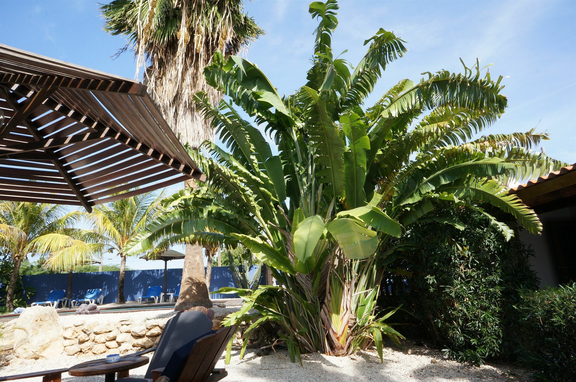 Caribbean Chillout Apartments Kralendijk na wyspie Bonaire Zewnętrze zdjęcie
